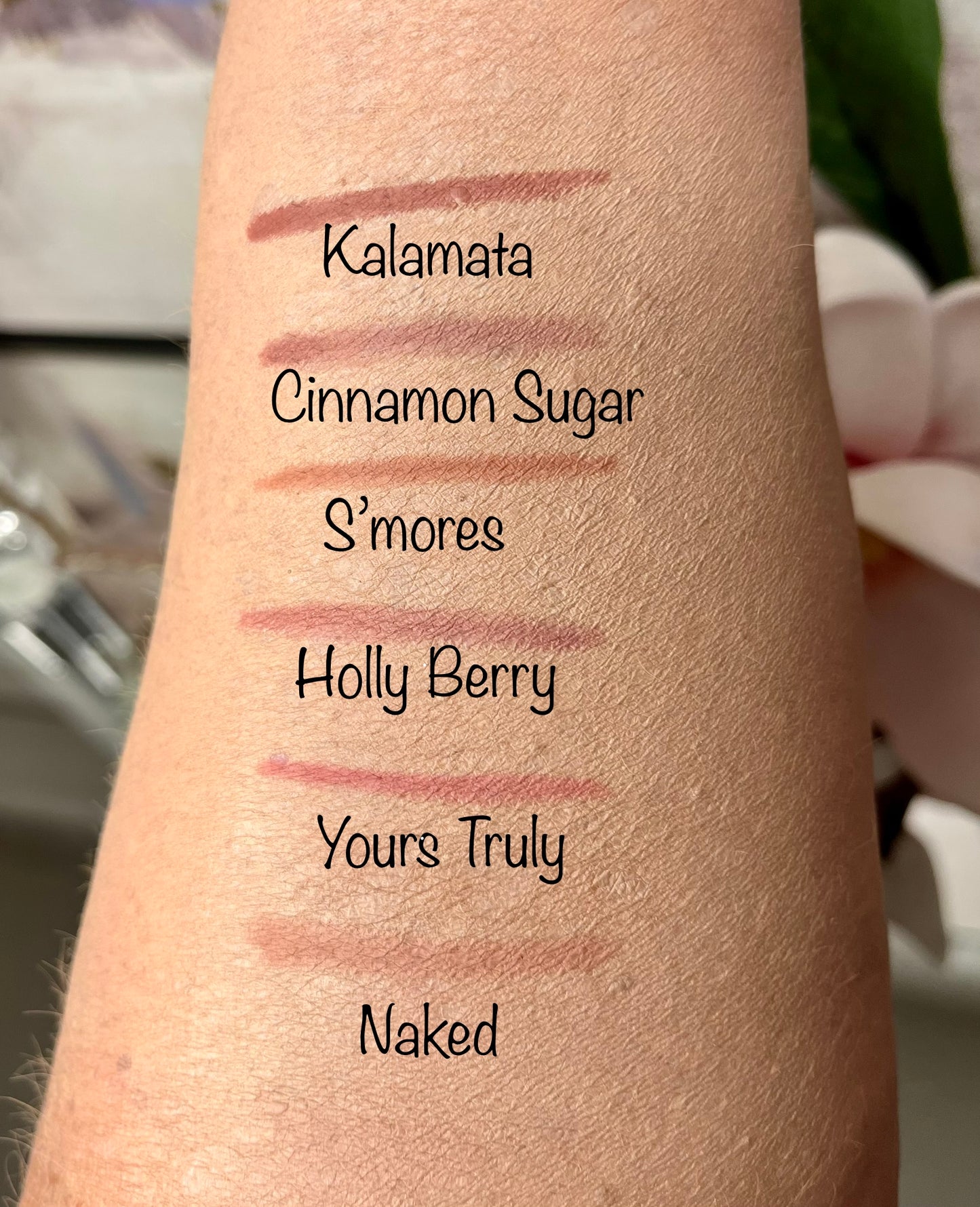 Cinnamon Sugar Waterproof Gel Lip Liner by La Paz Cosmetics