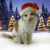 Christmas ornament