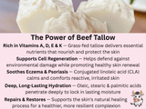 Benefits of tallow - Rich in Vitamins, Supports Cell Regeneration,  Sooths Eczema & Psoriasis